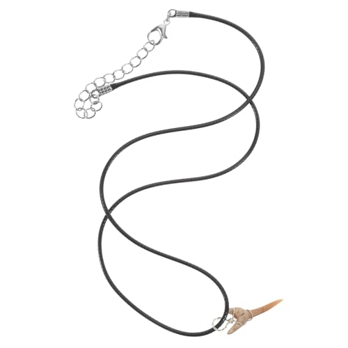 VICASKY Haifischzahn Für Männer Und Frauen Einzigartiger Anhänger Mit Natürlichem Haifischzahn Für Schmuckliebhaber Und Besondere Anlässe VICASKY Haifischzahn Für Männer Und Frauen Einzigartiger Anhänger Mit Natürlichem Haifischzahn Für Schmuckliebhaber Und Besondere Anlässe von VICASKY