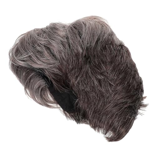 VICASKY Perücke Für Herren Toupet Haar Kurz Für Cosplay Party Mode Herrenperücke Jungenhaar Atmungsaktive Kappe Hochtemperaturfaser von VICASKY
