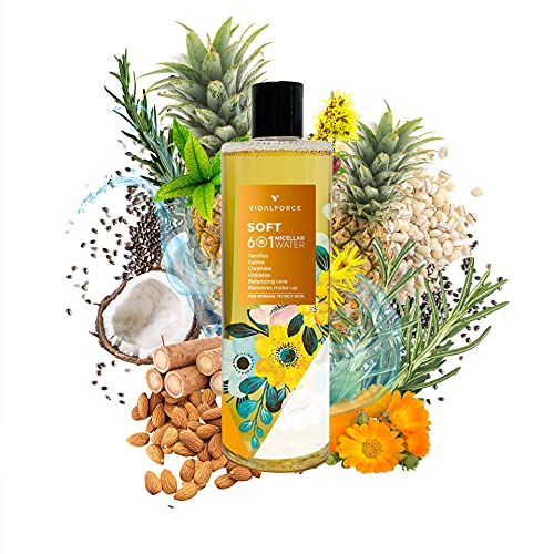 SOFT MICELLAIR. Bio-Mizellenwasser 400ml 6 in 1 I Fettige oder Mischhaut I Gesichtsreiniger mit 19 100% natürlichen und 71% BIO Wirkstoffen. Porenreiniger, Gesichtsreiniger, Make-up-Entferner von VIDALFORCE