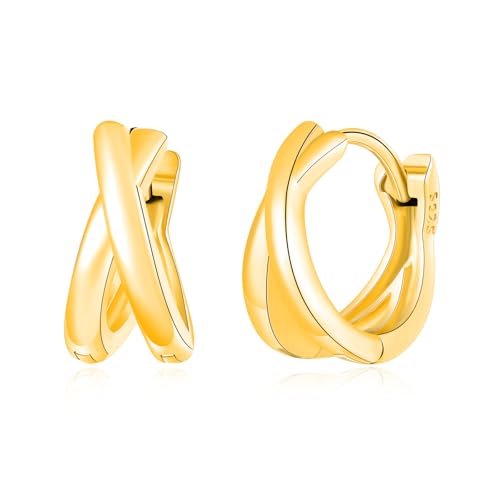 VIKILEE Doppel Creolen Damen Ohrringe Silber 925,Gold Hypoallergen Hoop Ohrringe Kleine,Knorpel Piercing Huggie Ohrringe für Mehrere Ohrlöcher,Mode Ohrschmuck für Frauen Mädchen von VIKILEE