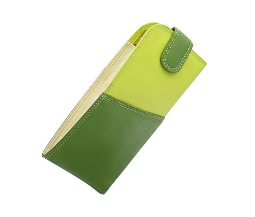 Visconti Rainbow-Kollektion Belize, Brillenetui Brillentasche, Nappa-Leder RB106 Grün Multi von VISCONTI