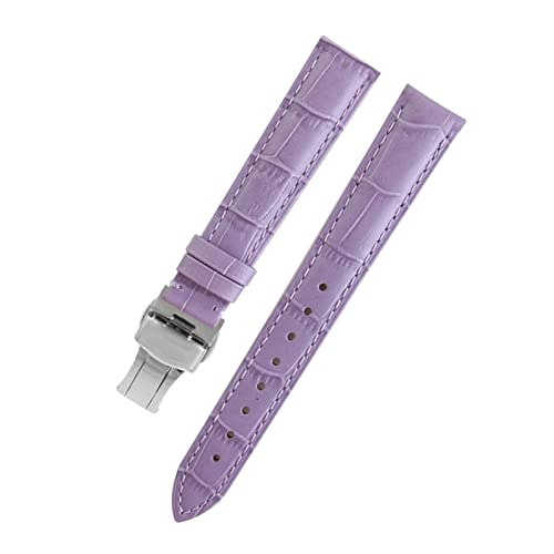 VISIYUBL Dame Watch-Bands fit for PP Ansehen Fit for Omega Leder Uhrenband Fit for Tissot Marke Armband Armband Frauen 12/14/16/18/20/22/22mm (Color : Purple silver, Size : 16mm) von VISIYUBL