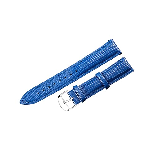 VISIYUBL Fashion Watch Band Leder Armband Uhr Accessoires Pin Schnalle Gurtgürtel Marke Frauen Watch Watch Watch (Color : Blue, Size : 14mm) von VISIYUBL