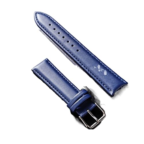 VISIYUBL Leder Watchband Soft Material Uhrenband Handgelenksgurt 12 14 16 18 20 21 22 mm mit silbernen Farbe Edelstahlschnalle (Color : Blue, Size : 21mm) von VISIYUBL