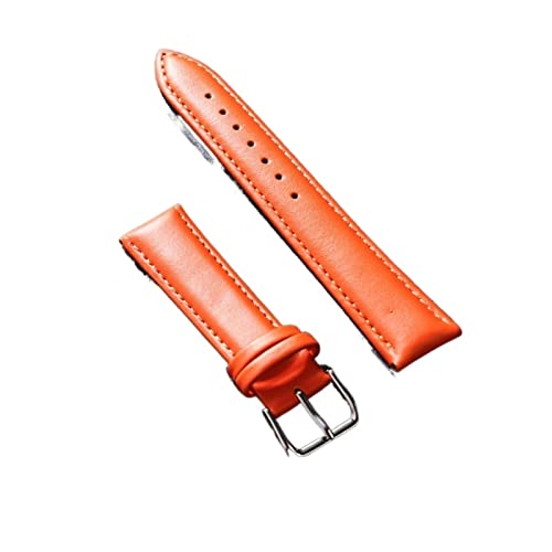 VISIYUBL Leder Watchband Soft Material Uhrenband Handgelenksgurt 12 14 16 18 20 21 22 mm mit silbernen Farbe Edelstahlschnalle (Color : Orange, Size : 19mm) von VISIYUBL