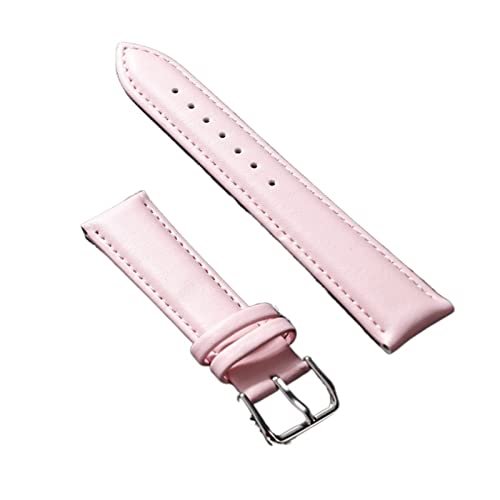 VISIYUBL Leder Watchband Soft Material Uhrenband Handgelenksgurt 12 14 16 18 20 21 22 mm mit silbernen Farbe Edelstahlschnalle (Color : Pink, Size : 16mm) von VISIYUBL