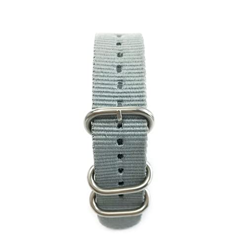 VISIYUBL Riemenuhr Band Army Sport Nylon Stoff Armband Edelstahl Schnalle for Frauen Männer Uhren Zubehör 20mm 22mm 24mm (Color : Gray, Size : 20mm) von VISIYUBL