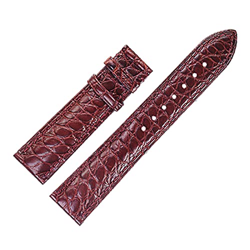 VISIYUBL Skin Leather Watchband Gürtelarmband Armbänder for 12/13/14/15/16/11/18/19/2011/11/12/12/12 (Color : Brown, Size : 19mm) von VISIYUBL