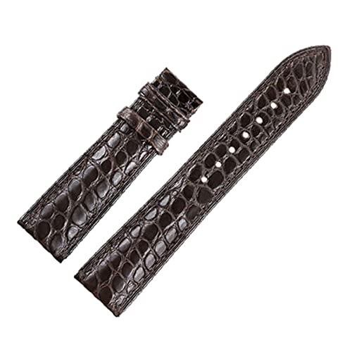 VISIYUBL Skin Leather Watchband Gürtelarmband Armbänder for 12/13/14/15/16/11/18/19/2011/11/12/12/12 (Color : Dark brown, Size : 22mm) von VISIYUBL