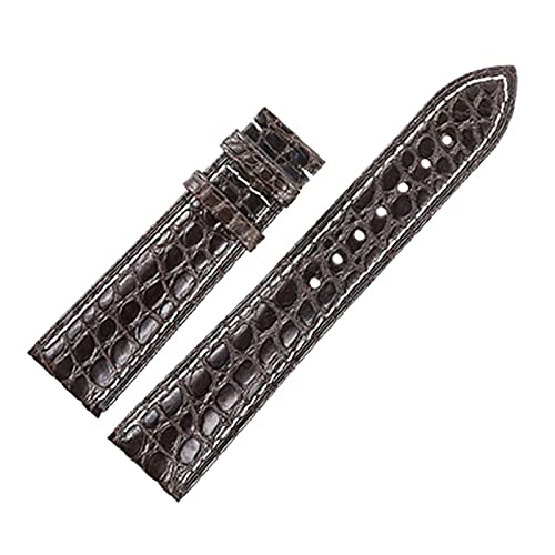 VISIYUBL Skin Leather Watchband Gürtelarmband Armbänder for 12/13/14/15/16/11/18/19/2011/11/12/12/12 (Color : Dark brown whiteline, Size : 15mm) von VISIYUBL