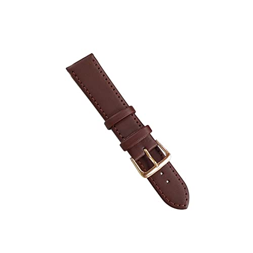 VISIYUBL Uhr Ledergurt Uhren Band 8mm 10 mm 12 mm 14 mm 16 mm 18 mm 20 mm 22 mm 24 mm for Frauen Männer Uhrenbänder schwarze braune Uhrengürtel (Color : Brown, Size : 22mm) von VISIYUBL