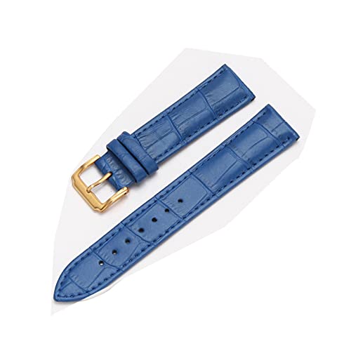 VISIYUBL Universal Ersatz Lederarmband Leder Armband for Männer Frauen 12mm 14mm 16mm 18mm 19mm 20mm 21mm 22mm Uhr Uhr Band (Color : Gold-Blue, Size : 15mm) von VISIYUBL