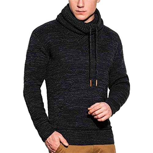 VIVICOLOR Herren Pullover Strickpullover Herren Pullover Schalkragen Relaxed Fit Zopfmuster Pullover von VIVICOLOR