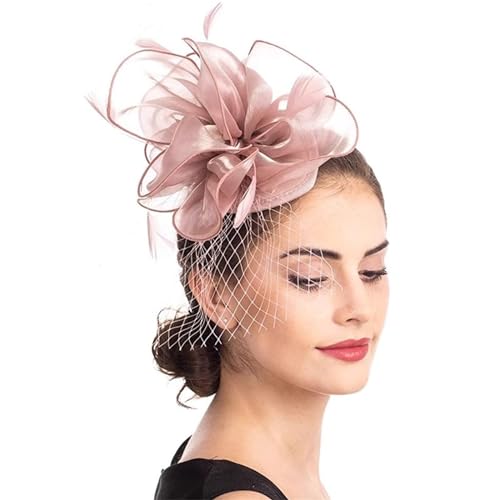 Fascinator Hüte für Frauen Eleganter Mesh-Schleier-Kopfschmuck for Bühnenauftritte, Partys, Organza-Haarspangen-Kopfschmuck (Color : Light Pink, Size : One size) von VKEID