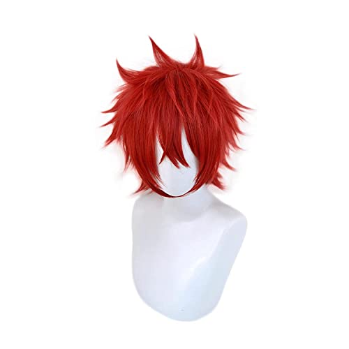 AniAmagi Rinne Cosplay Wig Red Short Heat Resistant Synthetic Hair Wigs for Halloween Christmas Party von VLEAP