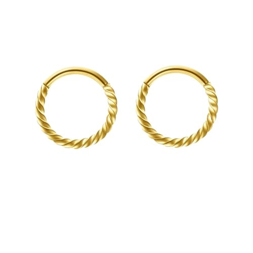 VMDVBNA Nasenring 2 Stück 316 Edelstahl Twist Scharnier Septum Nasenringe Creolen for Frauen Männer, Septum Clicker Knorpel Tragus Helix Ohrpiercing(2Pcs-Golden,16G-1.2mm-8mm) von VMDVBNA