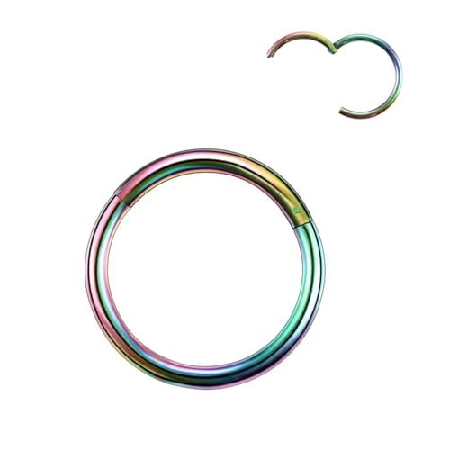 VMDVBNA Nasenring 2 Stück Nasenring-Ringe mit Scharniersegment for Damen, chirurgischer Stahl, Nasenringe, Septum-Clicker-Ring, Ohr-Daith-Reifen, Piercing-Schmuck(Rainbow color,20G 0.8x10mm) von VMDVBNA