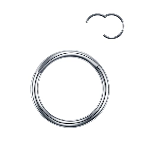 VMDVBNA Nasenring 2 Stück Nasenring-Ringe mit Scharniersegment for Damen, chirurgischer Stahl, Nasenringe, Septum-Clicker-Ring, Ohr-Daith-Reifen, Piercing-Schmuck(Silver color,14G 1.6x10mm) von VMDVBNA