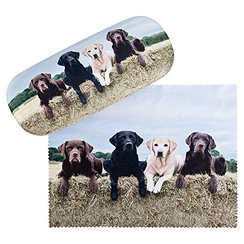 VON LILIENFELD Brillenetui Labrador Retriever Hund Motiv Etui Brille Mikrofaser Brillenputztuch Brillenbox Stabiles Hardcase Set mit Stoff bezogen von VON LILIENFELD