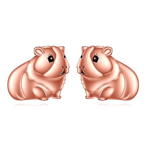 VONALA Meerschweinchen Ohrringe 925 Sterling Silber Ohrstecker Niedliche Tier Ohrringe Meerschweinchen Schmuck Geschenke für Damen Frauen Mädchend VONALA Meerschweinchen Ohrringe 925 Sterling Silber Ohrstecker Niedliche Tier Ohrringe Meerschweinchen Schmuck Geschenke für Damen Frauen Mädchend von VONALA