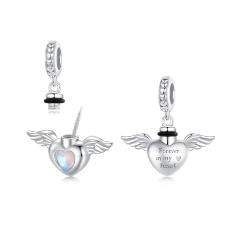 VOROCO Charm-Anhänger aus 925er-Sterlingsilber für Armband, Halskette, Charm-Anhänger für Frauen, Mutter, Tochter, Oma, Familie, Freunde, Schmuck, Geschenk (Silbernes Haustier-Gedenken) von VOROCO