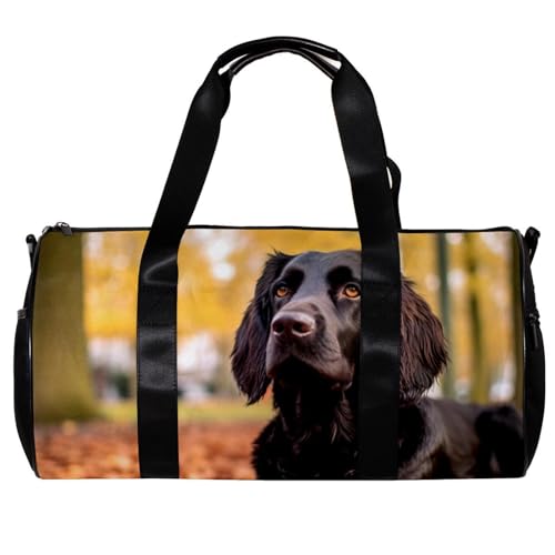 Reisetasche,Herren Sporttasche,Damen Sporttasche,Herbst Hundeblatt,Sporttasche von VTGHDEEQ