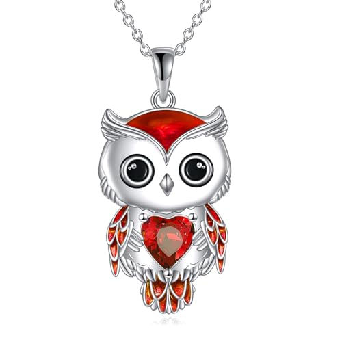 Vadmans Eule Kette Schmuck Geschenke für Damen Sterling Silber Geburtsstein Eule Anhänger Halskette Weihnachts Schmuck für Mädchen (01-Januar) von Vadmans
