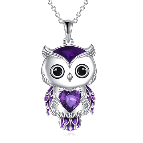 Vadmans Eule Kette Schmuck Geschenke für Damen Sterling Silber Februar Geburtsstein Zirkonia Eule Anhänger Halskette Weihnachts Schmuck für Mädchen (02-Februar) von Vadmans