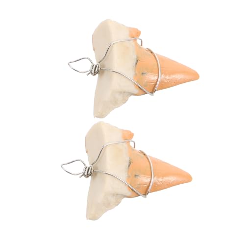 Vaguelly 2 Stücke Haifischzahn Anhänger für Strandliebhaber Langlebig Präzise Verarbeitet Einzigartiger Zahnschmuck für Outdoor Aktivitäten von Vaguelly