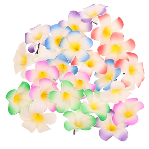 Vaguelly 24 Stück Charmante Haarschmuck Frangipani Haarspangen Gemischte Farben für Hochzeiten Partys und Strandurlaube Dekorative Haaraccessoires für Damen von Vaguelly