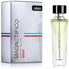 Magnetifico Pheromone Seduction for Men Perfume with Pheromone Scent, 30 ml von Valavani