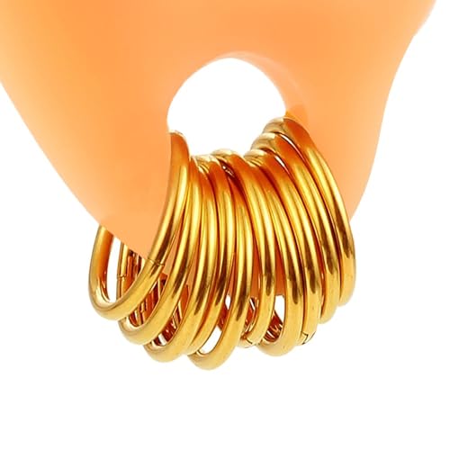 Vankula Nasenring Hoop 10 PCS aus Chirurgenstahl Segmentring Clicker 16G 8mm Ohr Tunnel Gewichte Ohrhänger Piercing Schmuck für Frauen und Männer Gold von Vankula