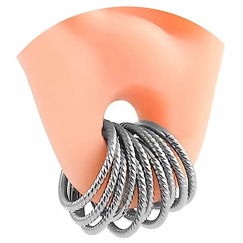 Vankula Nasenring Hoop 10 PCS aus Chirurgenstahl Segmentring Clicker 16G 8mm Ohr Tunnel Gewichte Ohrhänger Piercing Schmuck für Frauen und Männer Spirale Silber Vankula Nasenring Hoop 10 PCS aus Chirurgenstahl Segmentring Clicker 16G 8mm Ohr Tunnel Gewichte Ohrhänger Piercing Schmuck für Frauen und Männer Spirale Silber von Vankula