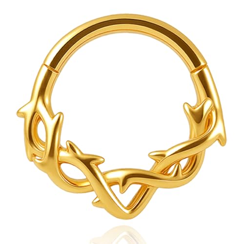 Vankula Septum Clicker Hinged Segmentring 316L Edelstahl 10mm 16g Nasenpiercing Ring Dornen Cartilage Rook Daith Tragu Piercing Schmuck für Frauen und Männer Gold von Vankula