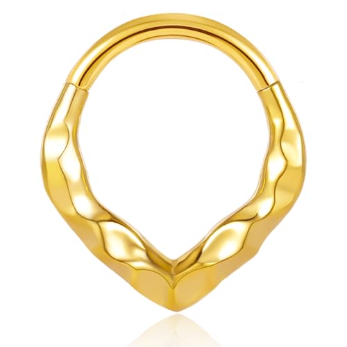 Vankula Septum Piercing Clicker Hinged Segmentring 316L Edelstahl 16G 8mm Dreieck Nasen Daith Helix Conch Rook Lobe Ringe Schmuck für Frauen und Männer Gold von Vankula