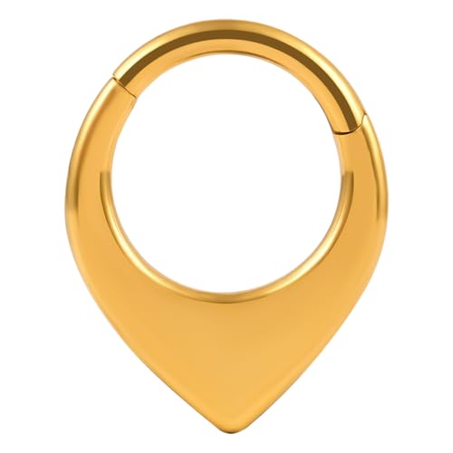 Vankula Septum Piercing Ring Hinged Segment Clicker 8mm 16g Chirurgenstahl Helix Daith Tragus Conch Piercing Schmuck für Frauen und Männer Gold von Vankula