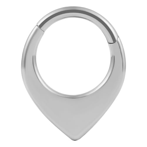 Vankula Septum Piercing Ring Hinged Segment Clicker 8mm 16g Chirurgenstahl Nasenpiercing Helix Daith Tragus Conch Piercing Schmuck für Frauen und Männer Silber von Vankula