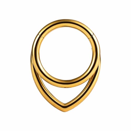 Vankula Septum Piercing Ringe aus G23 Titan Hinged Segmentring Clicker 8mm 16g Helix Nase Tragus Daith Piercing Schmuck für Frauen und Männer Gold von Vankula
