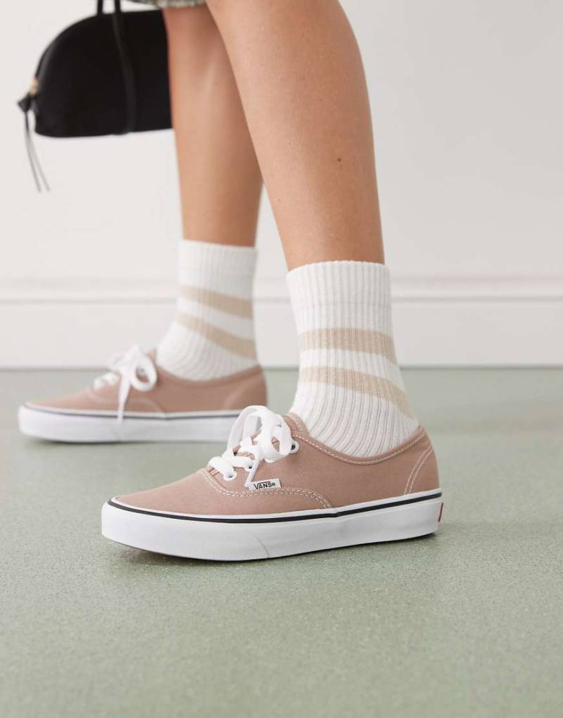 Vans Authentic - Colour Theory - Sneaker in Taupe-Grau von Vans