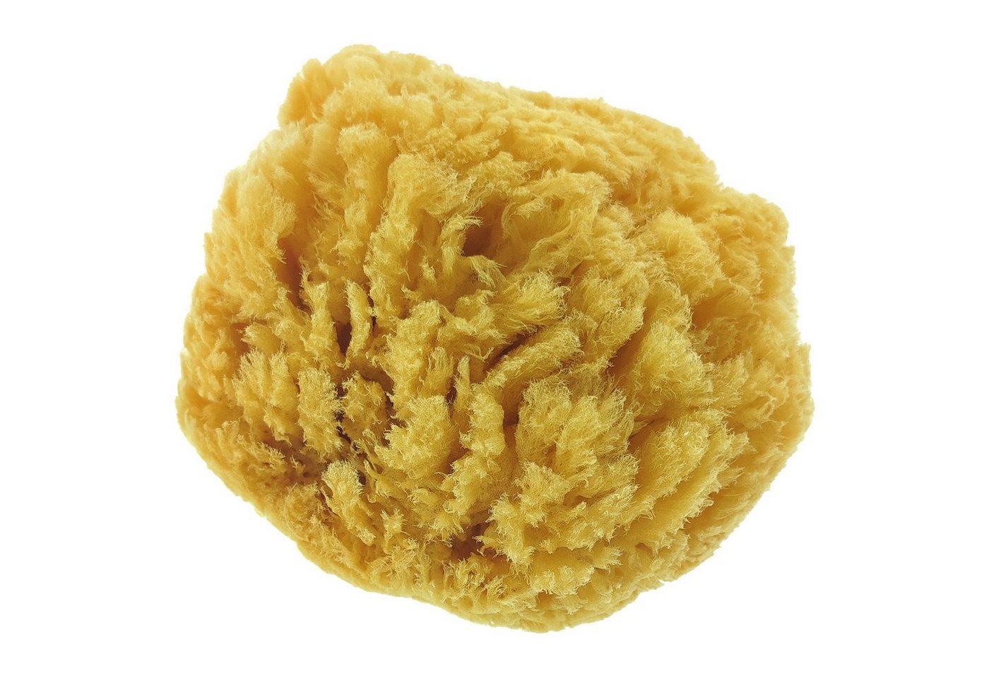 varivendo Reinigungsschwamm Naturschwamm 1 Stück, Meeresschwamm Badeschwamm Duschschwamm von Varivendo