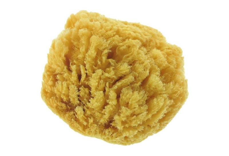 varivendo Reinigungsschwamm Naturschwamm 1 Stück, Meeresschwamm Badeschwamm Duschschwamm von Varivendo