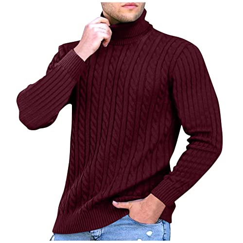 Vasreyy Rollkragenpullover Herren Sweatshirts Für Herren Herren Pullover Winter Top Langarm Einfarbig Rollkragen Pullover Turtleneck Strickpullover Feinstrick Rollkragenpullover Basic Sweater von Vasreyy