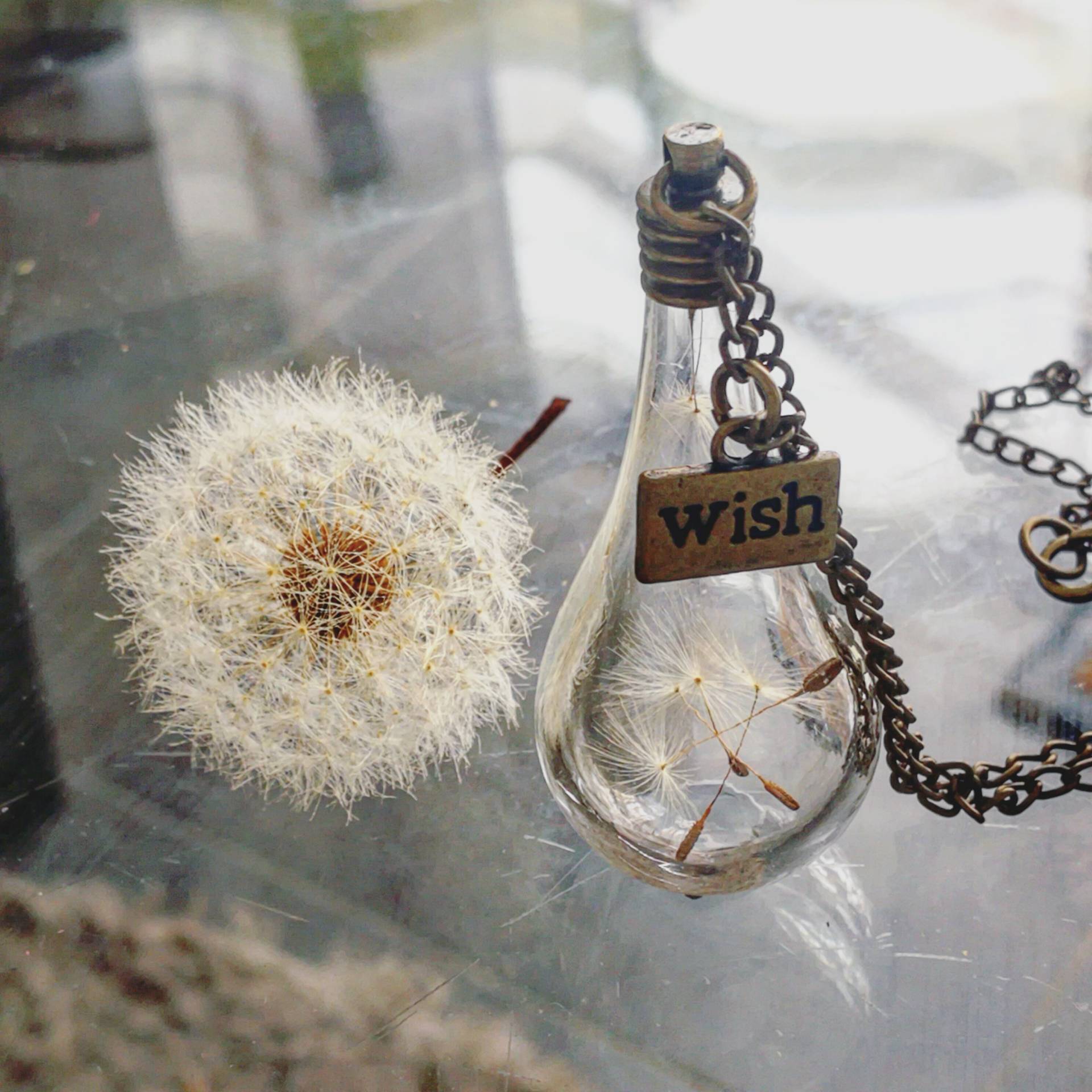 Löwenzahnsamen-Halskette Machen Sie Einen Wunsch Glasfläschchen-Tränen-Anhänger, Bronzekette von VasyaBoutique