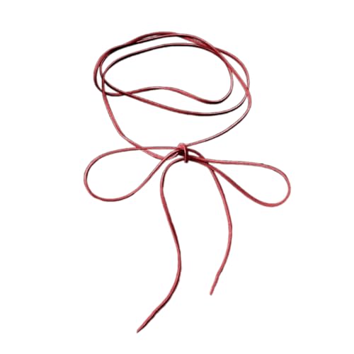 Vdaxvme Elegante lange Krawatte Choker Halskette Stilvolle Halskette mit Bowknot Anhänger Accessoire für modische Frauen Damen, Koreanischer Samt, Zirkonia von Vdaxvme