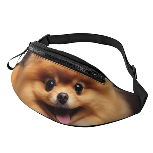 Bauchtasche, modische Bauchtasche für Damen und Herren, leichte Bauchtasche, Hüfttasche für Hundelaufen, Reisen, Gelb Pomeranian, Einheitsgröße von VducK