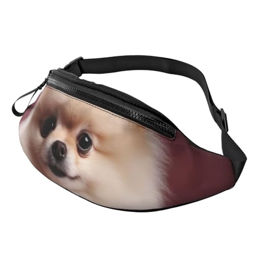 Bauchtasche, modische Bauchtasche für Damen und Herren, leichte Bauchtasche, Hüfttasche für Hundelaufen, Reisen, Pomeranian and Flowers, Einheitsgröße von VducK