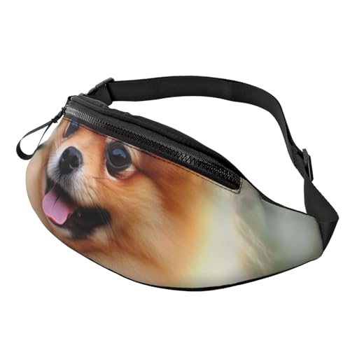 Bauchtasche, modische Bauchtasche für Damen und Herren, leichte Bauchtasche, Hüfttasche für Hundelaufen, Reisen, Pommerischer Hund, Einheitsgröße von VducK