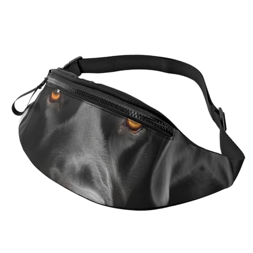 Bauchtaschen für Damen, große Umhängetasche, trendige Brusttasche, schwarze Rose, Hüfttasche für Reisen, Schwarzer Hund, Einheitsgröße von VducK