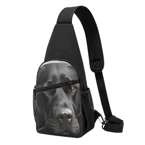 Umhängetasche für Damen, Bauchtasche, Motiv: Schwarzes Meer, echte Brusttasche, Tagesrucksack für Wandern, Reisen, Hüfttasche, Schwarzer Hund, Einheitsgröße von VducK