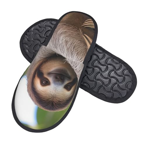 VducK Fuzzy Damen-Hausschuhe, Faultier auf einem Baumzweig, gemütliches pelziges Futter, rutschfeste Hausschuhe für drinnen und draußen, Größe M, Schwarz , Einheitsgröße von VducK